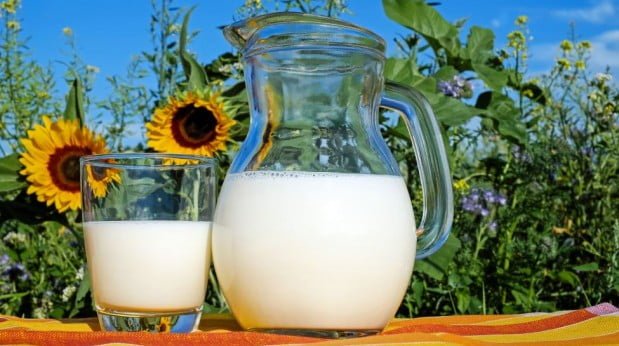 Skimmed Milk Or Full Fat Milk Is Healthier When Comes To Lose Weight