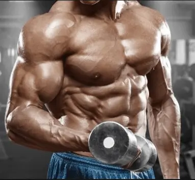  Bodybuilder - hypertrophy strength training
