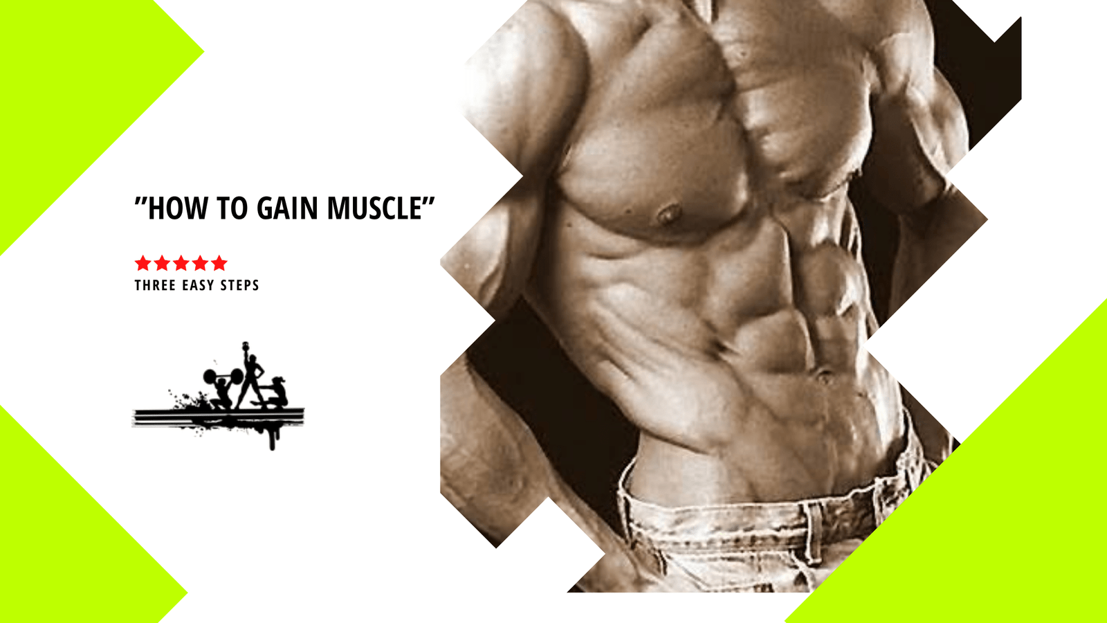 How to Gain Muscle