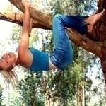 climb tree