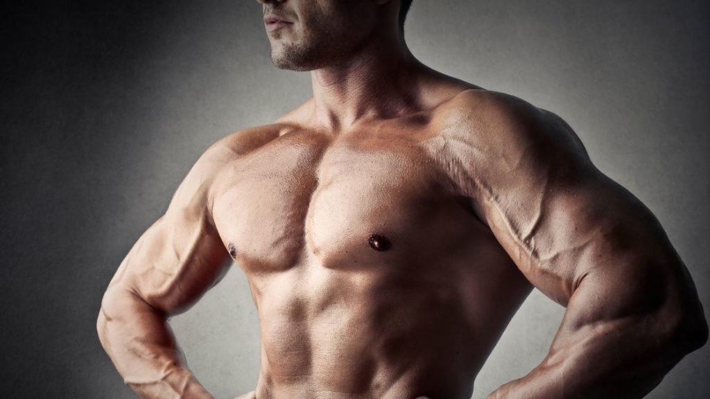how to build chest muscles