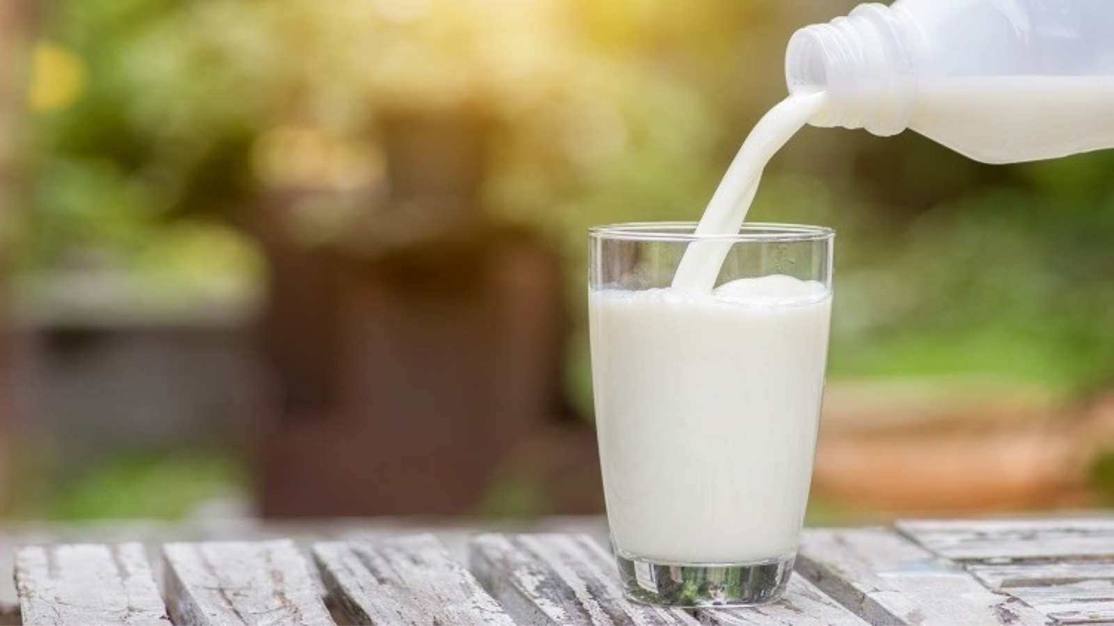 ASkimmed Milk Or Full Fat Milk for Weight Loss
