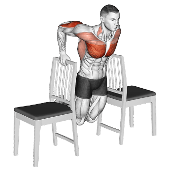 Chairs - Bodyweight Exercises