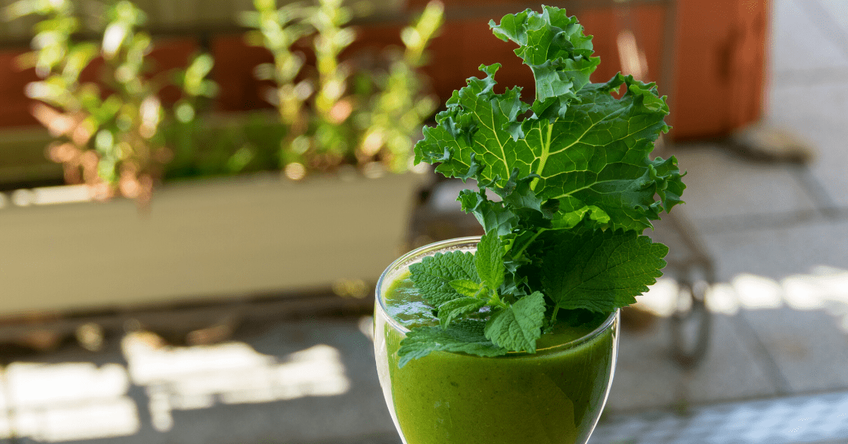 What is a Typical Detox Diet