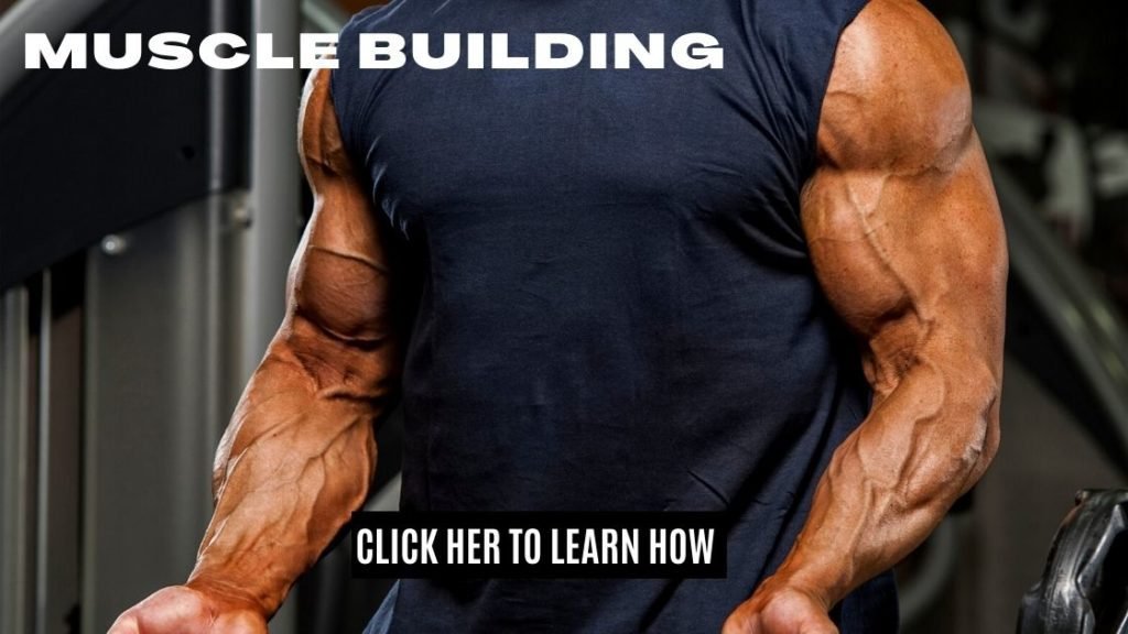 Visual Impact Muscle Building