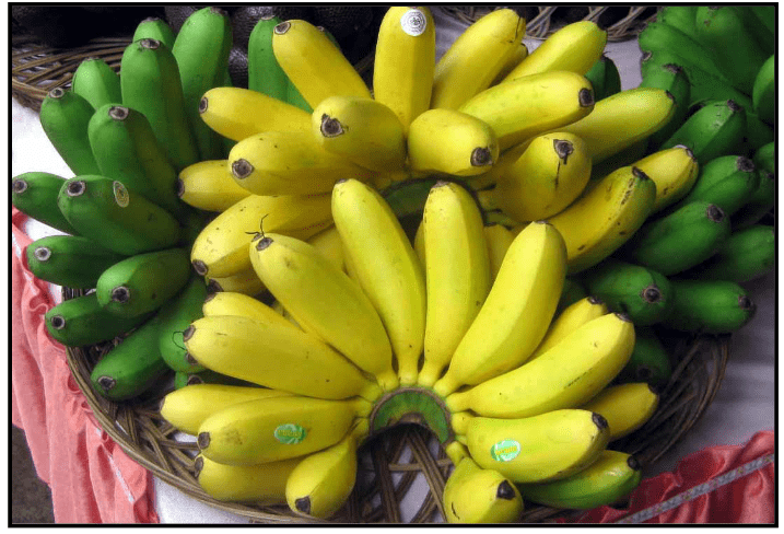 Vegan Athletes Banana 