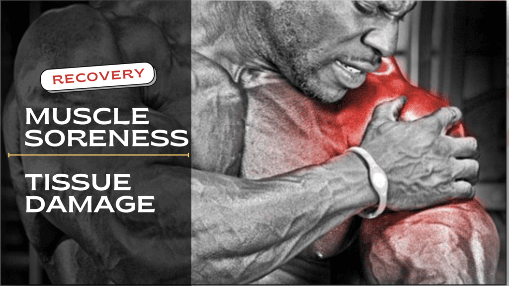 Muscle Soreness, Tissue Damage, and Recovery with Impact Frequency Training