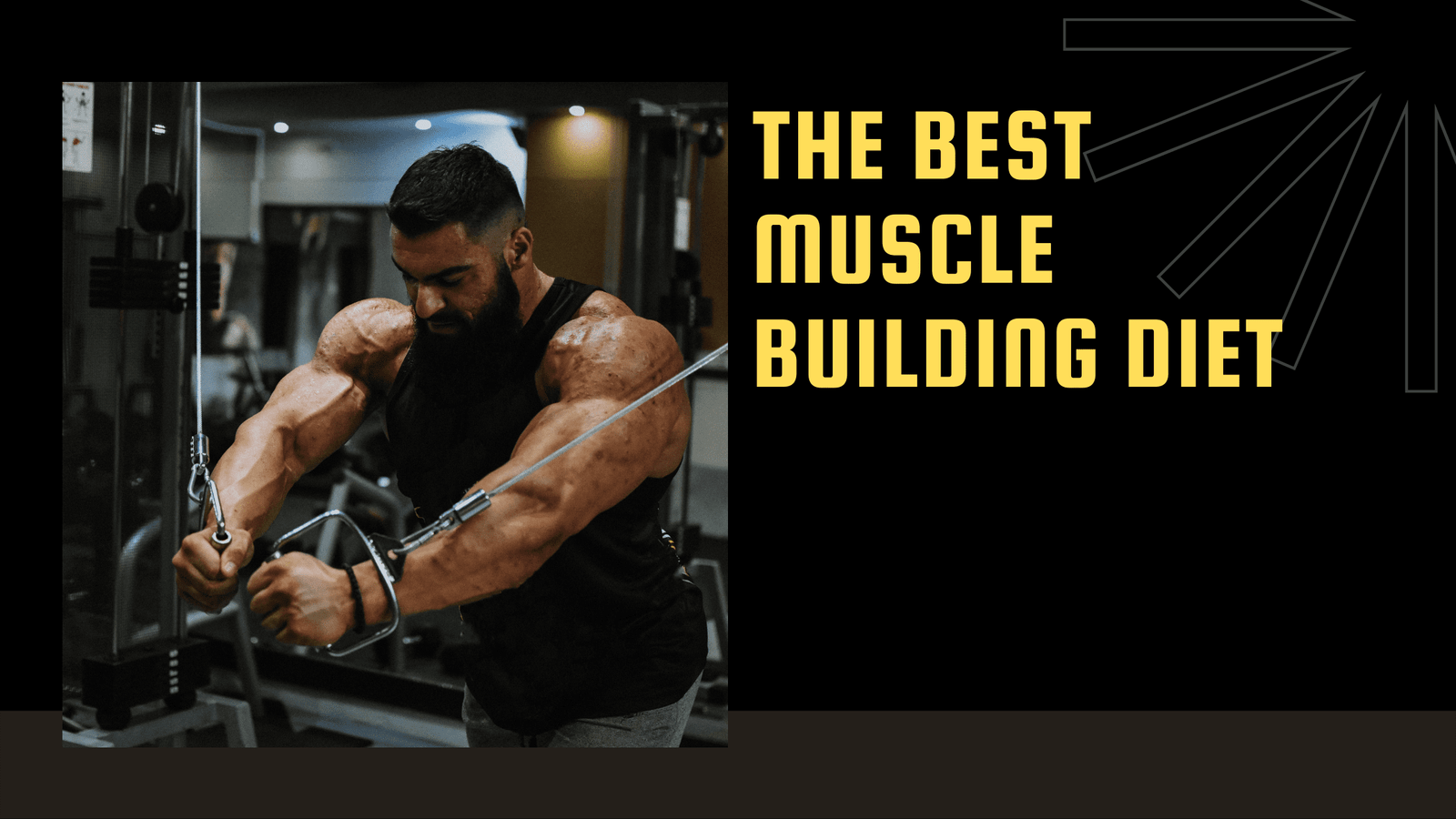 Which Is The Best Muscle Building Diet Is For Me