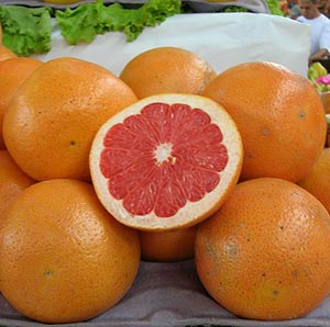 grapefruit01