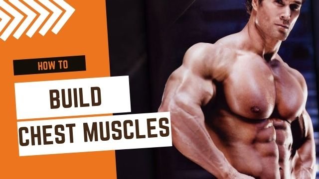 how to build chest muscles