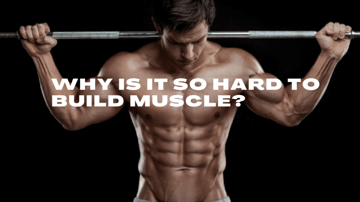 Discover Why Is It So Hard To Build Muscle