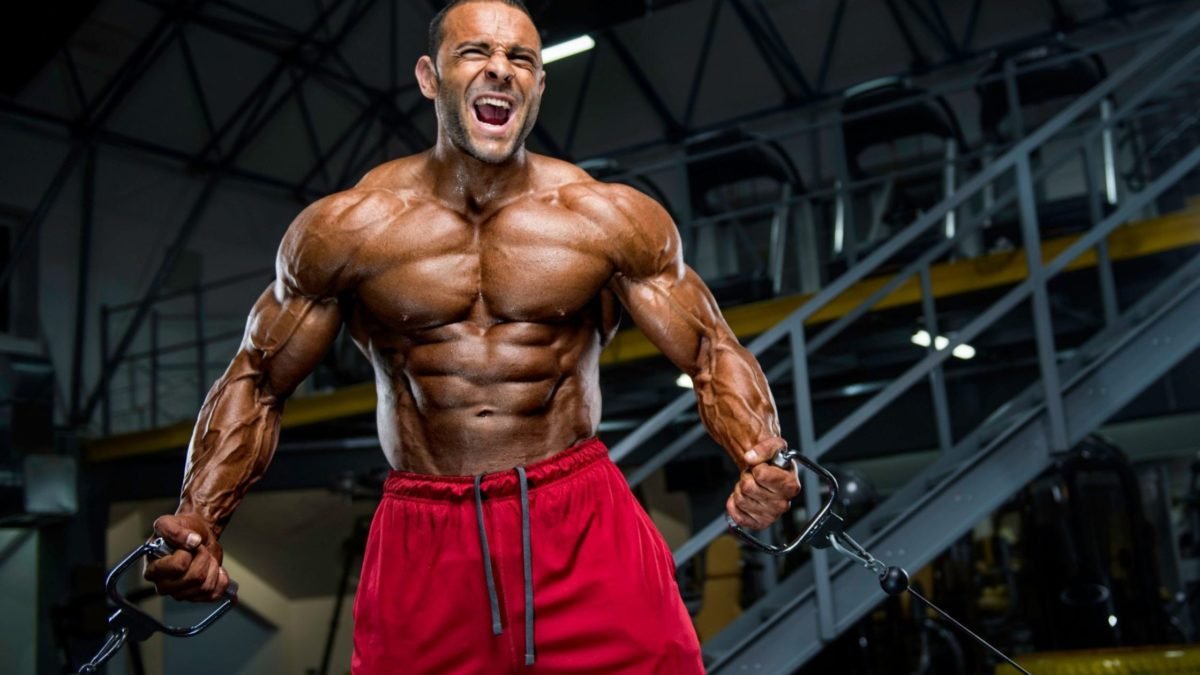 Get Ripped with German Volume Training Workout Plan