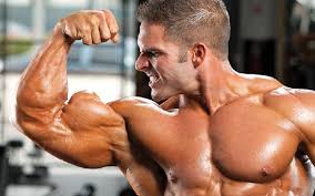How Many Sets and Reps to Build Muscle